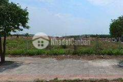 Đất bàu bàng chỉ cần 650 triệu sở hữu ngay 1007m2