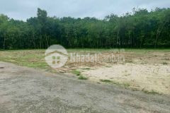 Đường chánh phú hòa 10 sổ sẵn đường nhựa thông