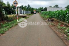 Cần bán lô đất ở thổ cư 300m có căn nhà cấp 4