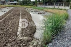 Bán đất vườn xã hưng long