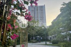 Căn hộ cc cao cấp tại long biên chỉ cần 1 55 tỷ