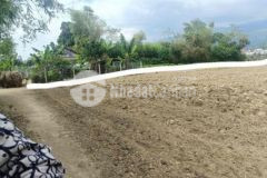 Mình có cụm gần 20 lô bố trí như hình tai đại lộc