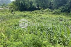 Đất nghỉ đưỡng trên núi cao 1000m tân lạc hòa bình