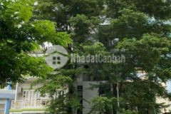 Mt phan đăng lưu thích quảng đức 4x28m 121m2 5l