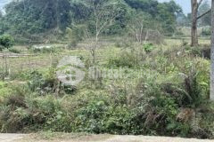 Bán đất vườn làm khu nghỉ dưỡng trên núi cao 1500m