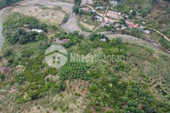 Đất nền mộc châu 2mặt tiền gần suối,phù hợp làm nghỉ dưỡng, homestay,giá siêu rẻ