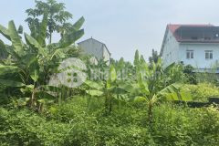 112m full thổ cư đất để ở tại an phú, mỹ đức