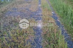 Chủ ngộp cần bán gấp đất vườn an nhơn tây củ chi tphcm 500m2 giá chỉ có 1 tỉ 3