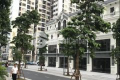 Shophouse vinhomes smartcity 17 tỷ đầu tư, kinh doanh thuận lợi