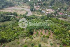 Đất nền mộc châu 30m bám suối,phù hợp làm homesatay, nghỉ dưỡng,giá rẻ như cốc cafe.