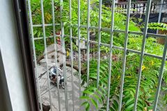 Bán nhà mặt phố 83 kinh doanh lô góc đẹp giá tốt 1.9 tỷ