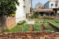 Đất xuân canh đông anh, tiềm năng, gần ngã 3, ngõ thông, ô tô