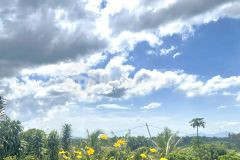 Bán đất nền lộc an bảo lâm, sổ sẵn, giá tốt