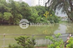 Bán đất khu bt nam long, phú thuận, quận 7 8 x 20, giá 15,7 tỷ