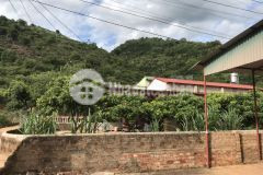 Bán mảnh đất 5500m2,tại mộc châu,sơn la,giá chỉ mấy trăm ngànm2