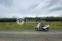 Bán đất sào chơn thành giá rẻ