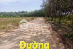 Bán đất mt qh 12m 5m x 50m thổ cư