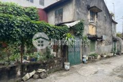 Khu vực hiếm đất bán trục chính và tại tổ 50