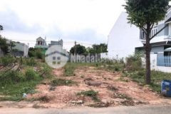 370m2 thổ đường 833b long cang cần đước long an