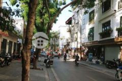 Chu vơ nơ 40m2 oto tranh via he ba đinh