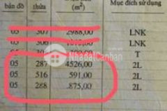 Bán đất đường 917 hướng vô khu cn trà nóc ô môn