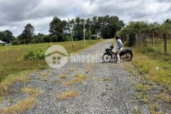 Đất chính chủ cần bán lộc hưng cách ql 13 100m