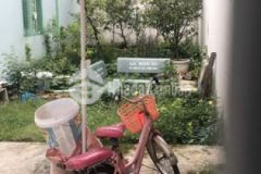 Đất chính chủ hẻm xh thông 80 huỳnh văn nghệ tb