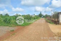 Đất đầu tư bình thuận 10 25 giá 3xx