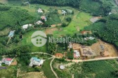 Đất phú thọ hạ hòa chưa tới 2 triệum2