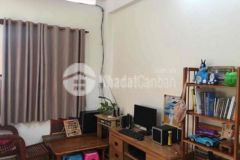 Hxh trần phú q5 dt 4x12 5 6 tầng giáp q1