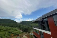 Bán gấp đất xã lộc đức bảo lâm lâm đồng 1 330 t