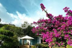 Chính chủ bán lô đất sau lưng nhà để đi mỹ shr