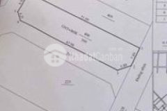 Phước tân 12x 50 tc 100 đường nhựa