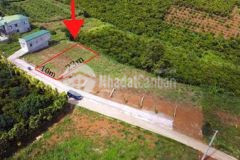 Đất thổ cư ở xã lộc an chỉ 6trm2 bao công chứng