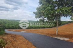 Ông chú cần bán lô đất 3 300m2 cho con đi du học