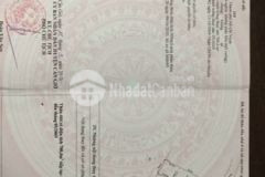 Cần bán 1000m2 đất bình khánh cần giờ