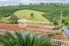 Bán đất view suối ngay trường tiểu học bảo lâm shr