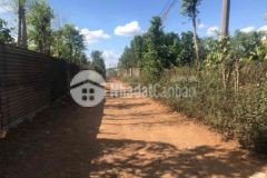 Tận 2 sào đất nông nghiệp tại hoà thuận