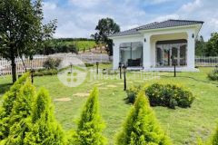 Bán đất tại cung đường hoa dả quỳ lớn nhất bảo lộc