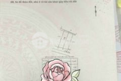 Bán đất 55m2 gần vincom lê văn việt q9