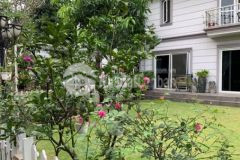 Đón nắng mai đầy năng lượng với sân vườn ngập nắng