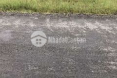 Cần bán gấp đất đường tỉnh 901 tân an luông