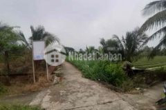 1 1công đất ấp 3 tam hiệp châu thành tiền giang