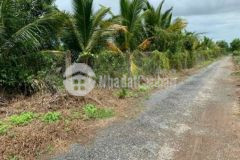 Bán lô vườn 578m2 thạnh hòa bến lức