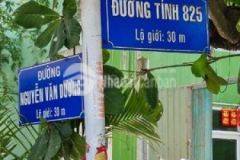 Đất xây biệt thự nghĩ dưỡng đức hoà long an