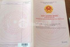 Đất sh cây lâu năm gia đình bảo quang long khánh