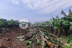 Đất sông trầu dt 8 sào hẻm thông