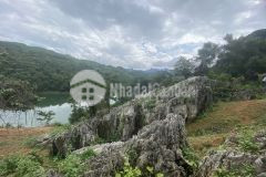 1ha đất siêu rộng tọa lạc tân lạc, hòa bình