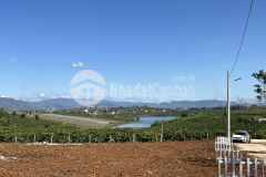 Tôi ngộp bank bán lỗ 2 lô đất lâm đồng gần hồ phúc thọ, sổ riêng giá thương lượng chính chủ