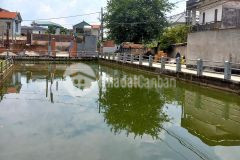 Bán gấp đất cổ miếu, thụy lâm, đông anh. khổ đất vuông, ô tô tránh nhau. nhỉnh 2 tỷ, sđt 0886119248